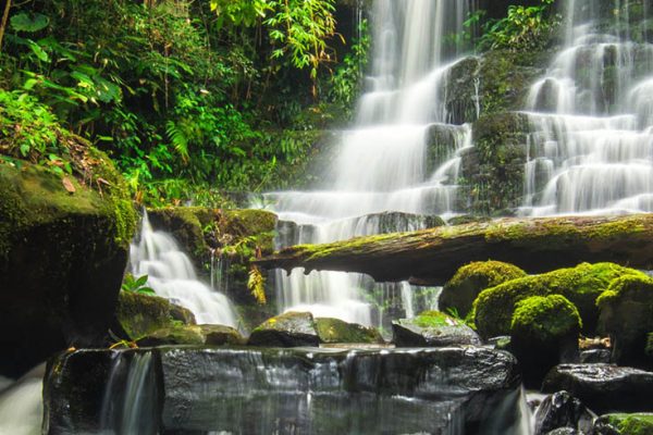 beautiful waterfall in green forest in jungle at phu tub berk mountain , phetchabun , Thailand