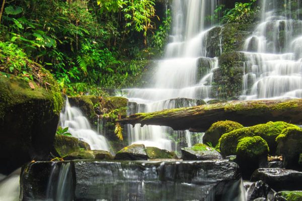 beautiful waterfall in green forest in jungle at phu tub berk mo beautiful waterfall in green forest in jungle at phu tub berk mountain , phetchabun , Thailand